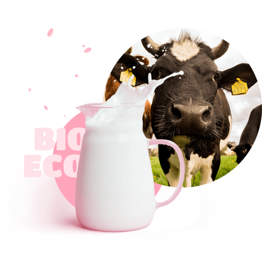 glass of milk and cow